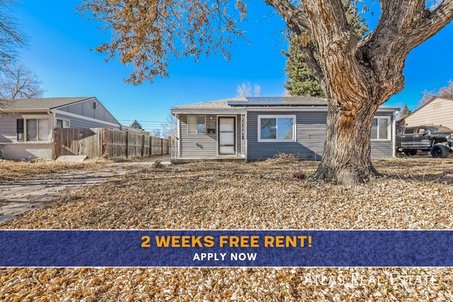 Building Photo - 941 S Alcott St