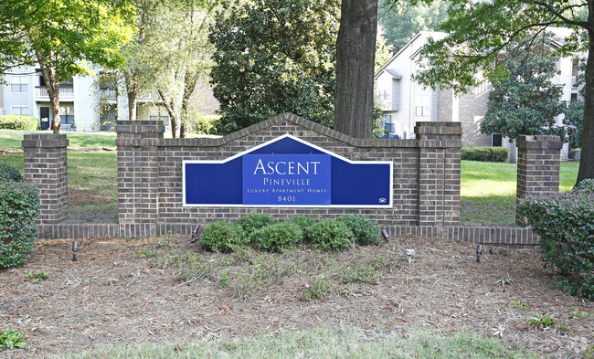 Ascent Pineville