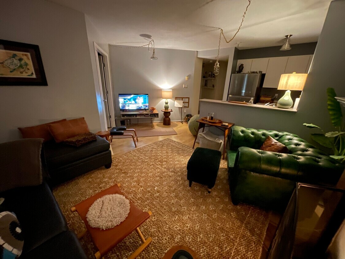 Kitchen/Livingroom - 225 Newport Dr