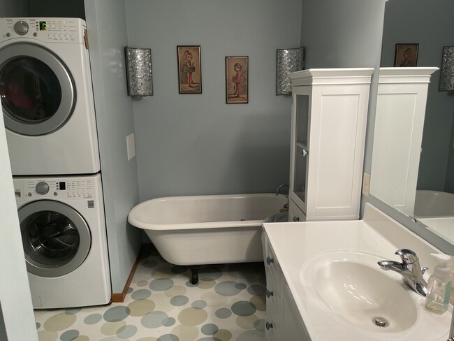 Master Bath - Shower to Left - 738 Vilas St