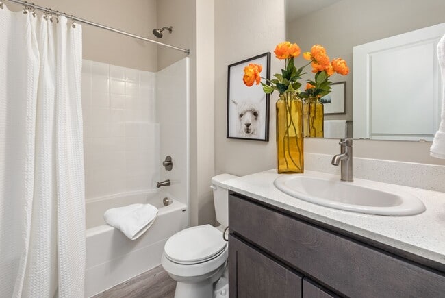 Foto del interior - Wilson Creek