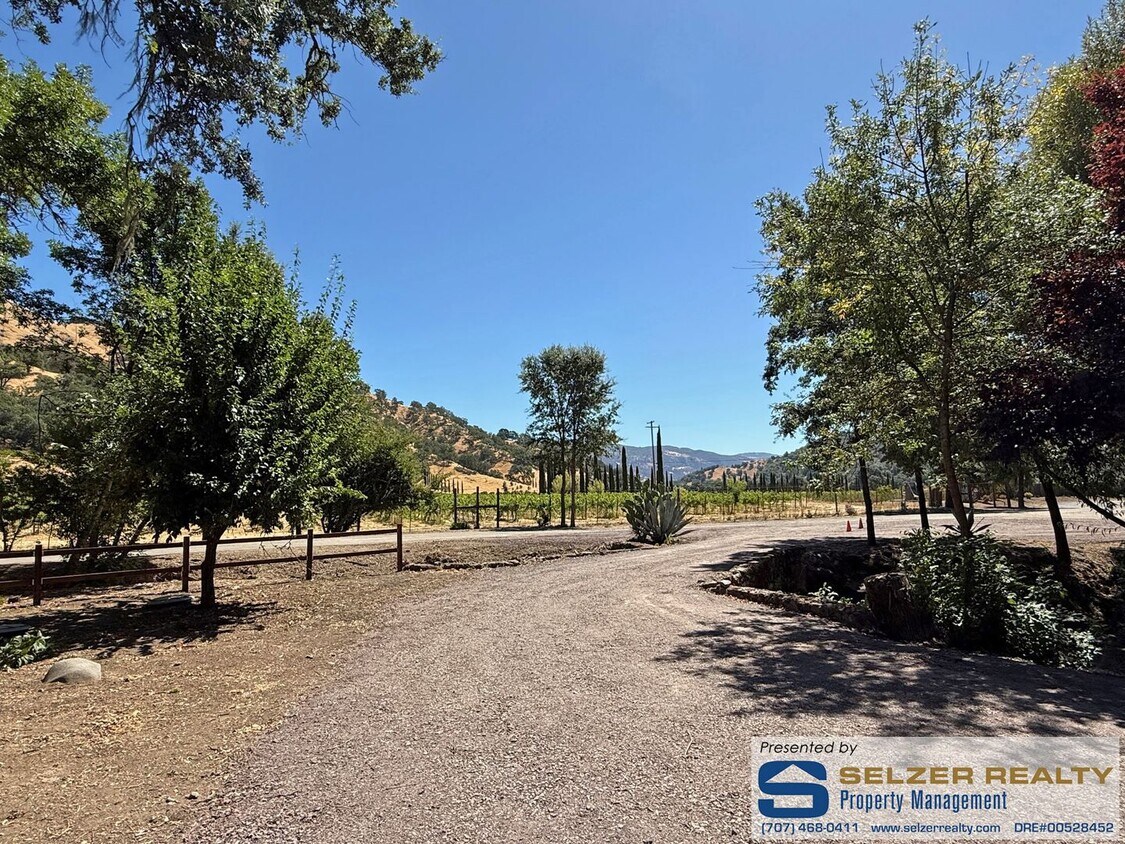 Building Photo - Newly renovated 3 bd. home set amongst the...