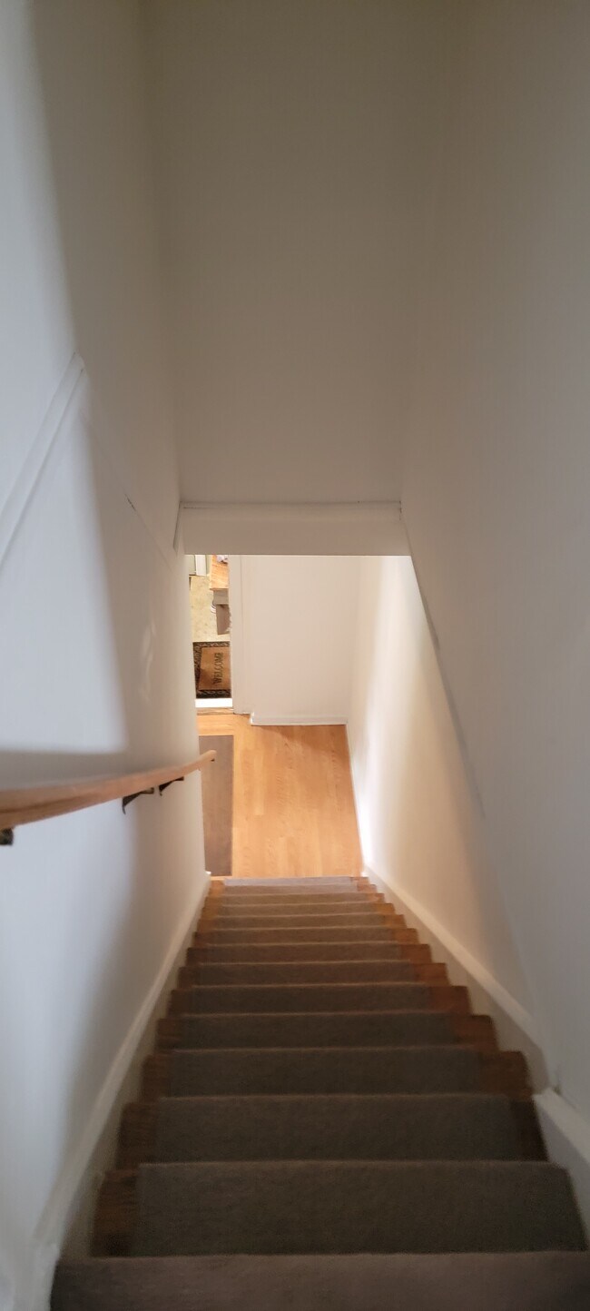 Mirando hacia abajo en la entrada - 20 E Spring St