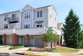 Building Photo - 20456 Cool Fern Square