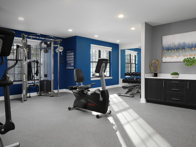 Arrabelle Apartments Fitness Center Weights - Arrabelle Apartments