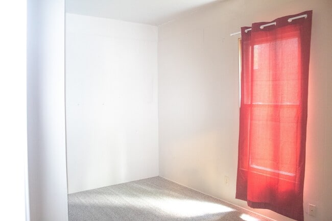 Building Photo - 4 Bed, 1 Bath On Campus