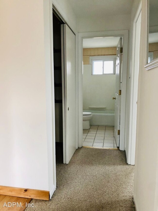 Building Photo - 2 br, 1 bath House - 11 Pine Street #6