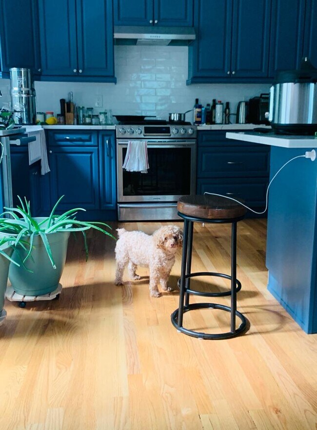 Foto del edificio - 19 Oxford Rd