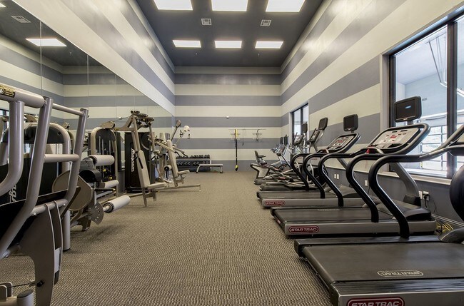 Halston Apartments Dallas, TX