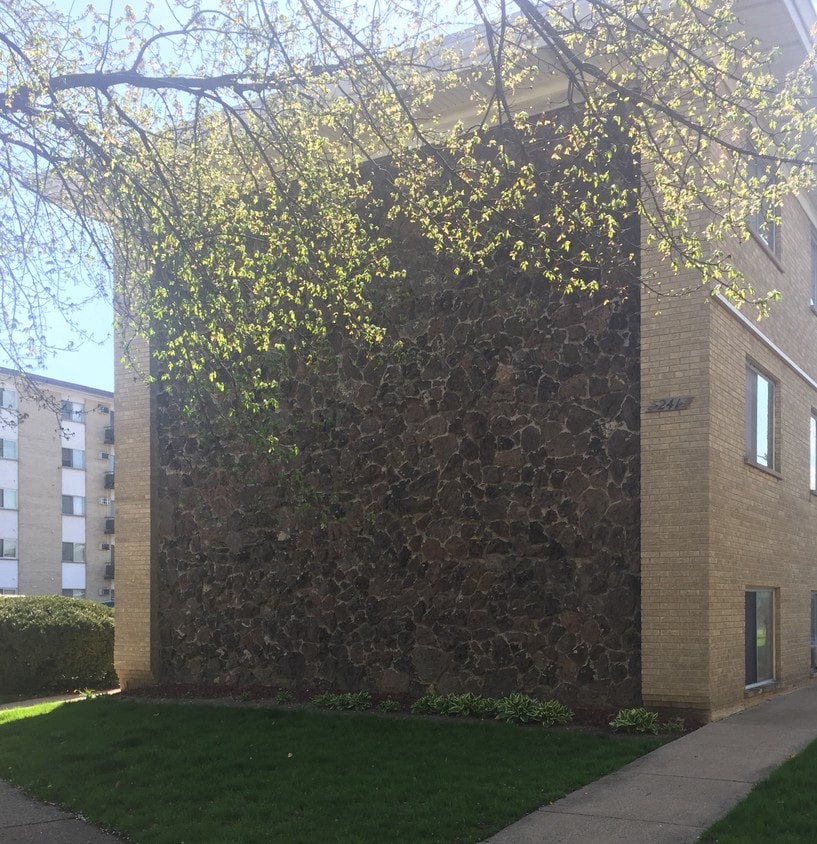 241 DesPlaines Avenue - 241 Desplaines Ave