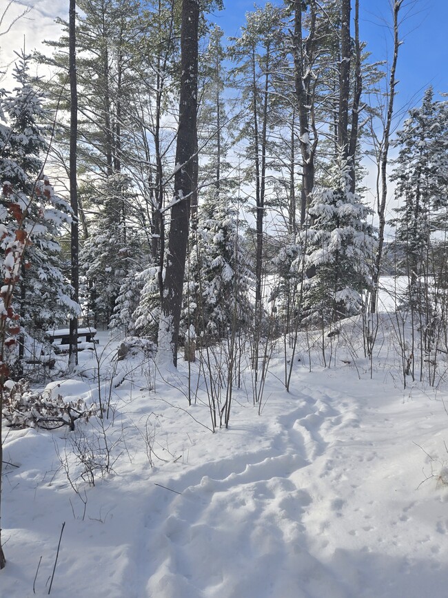 Building Photo - 162 Lancaster Rd