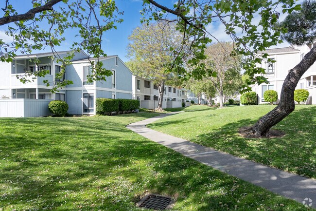 Common Ground - Bay View Villas