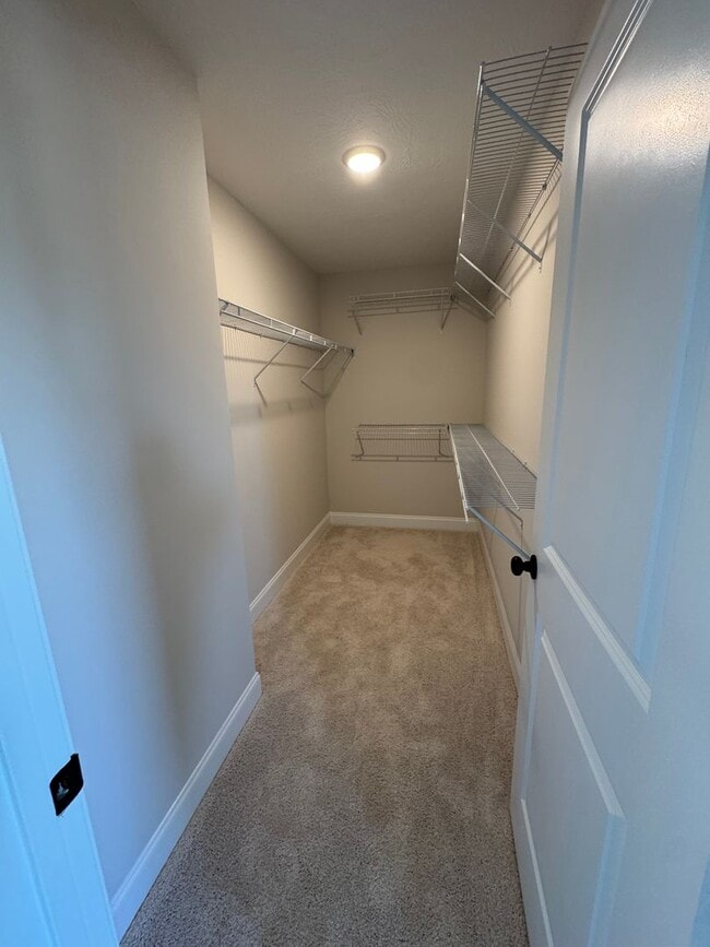 Foto del edificio - New Construction rental in Beech Island Ready to rent NOW