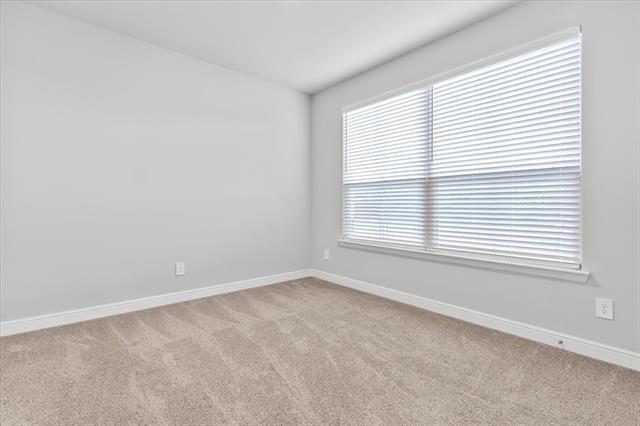 Foto del edificio - 1141 Southwark Dr