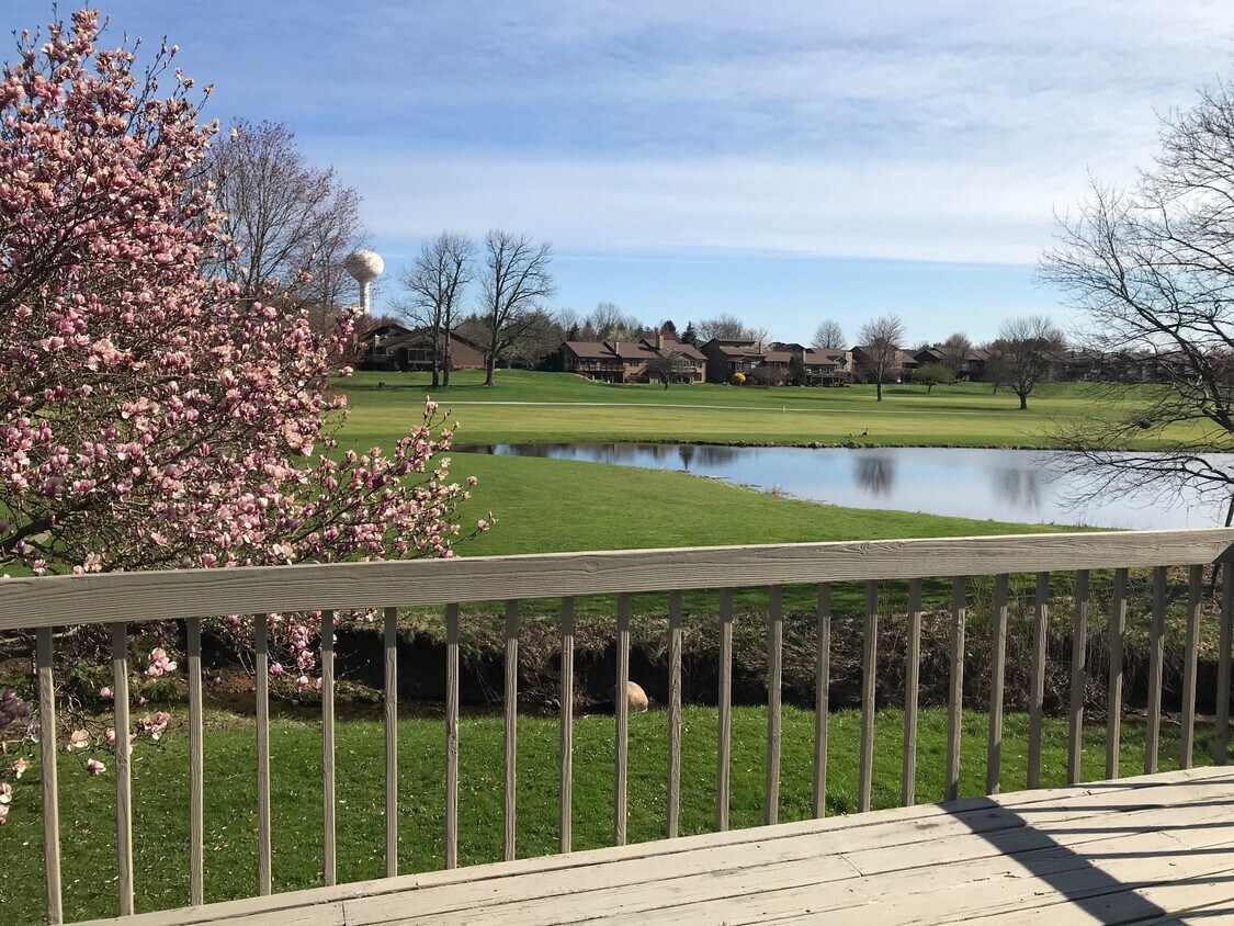 2413 Graybill Rd, Uniontown, OH 44685 Townhome Rentals in Uniontown