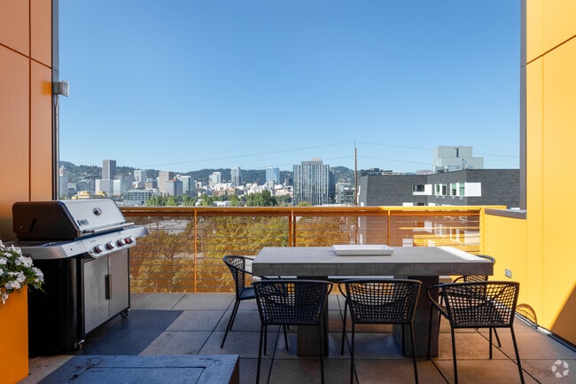 Rooftop grill area with view - The Lower Burnside Lofts