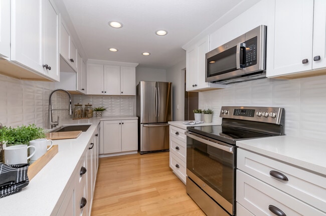 Updated kitchen - 1105 Shady Creek Pl