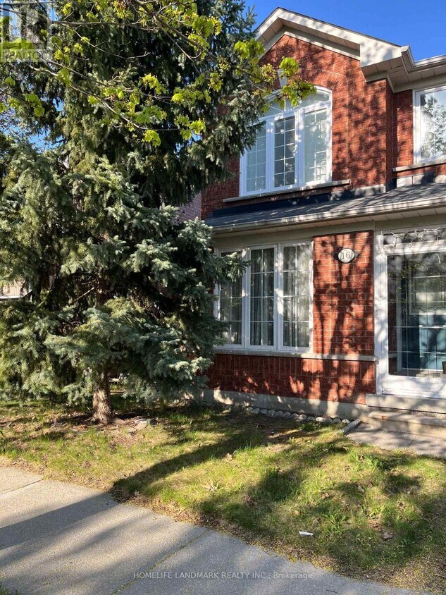 Primary Photo - 16 Moresby St