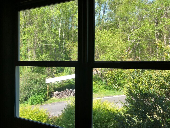 Foto del edificio - 336 Chunns Cove Rd