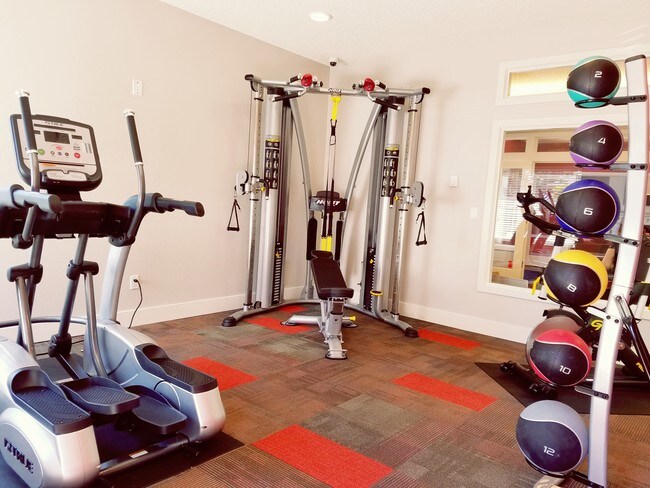 Gimnasia - Brier Woods