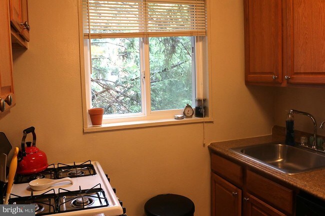 Building Photo - 2009 N Daniel St