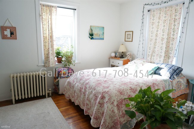 Foto del edificio - 1 br, 1 bath  - 41 Chestnut Hill Ave # 4242