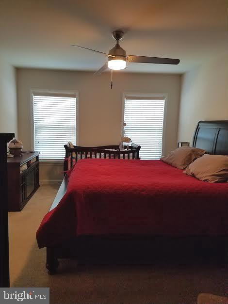 Foto del edificio - 20 Sandy Ln