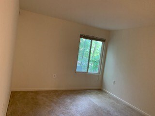 Building Photo - 10300 Rein Commons Ct