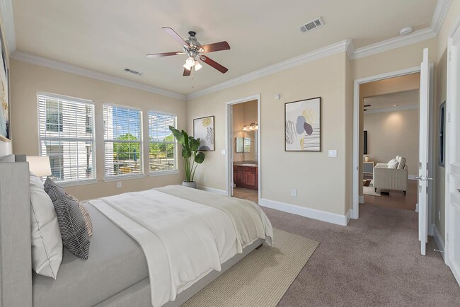 Foto del edificio - Cypress at Stone Oak