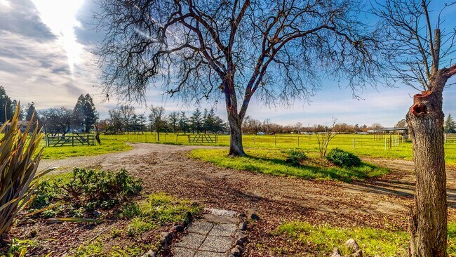 Foto del edificio - Welcome to your Country Oasis!  Newly Refurbished 3 bedroom 2 bath home Large lot with Barn & Acr...