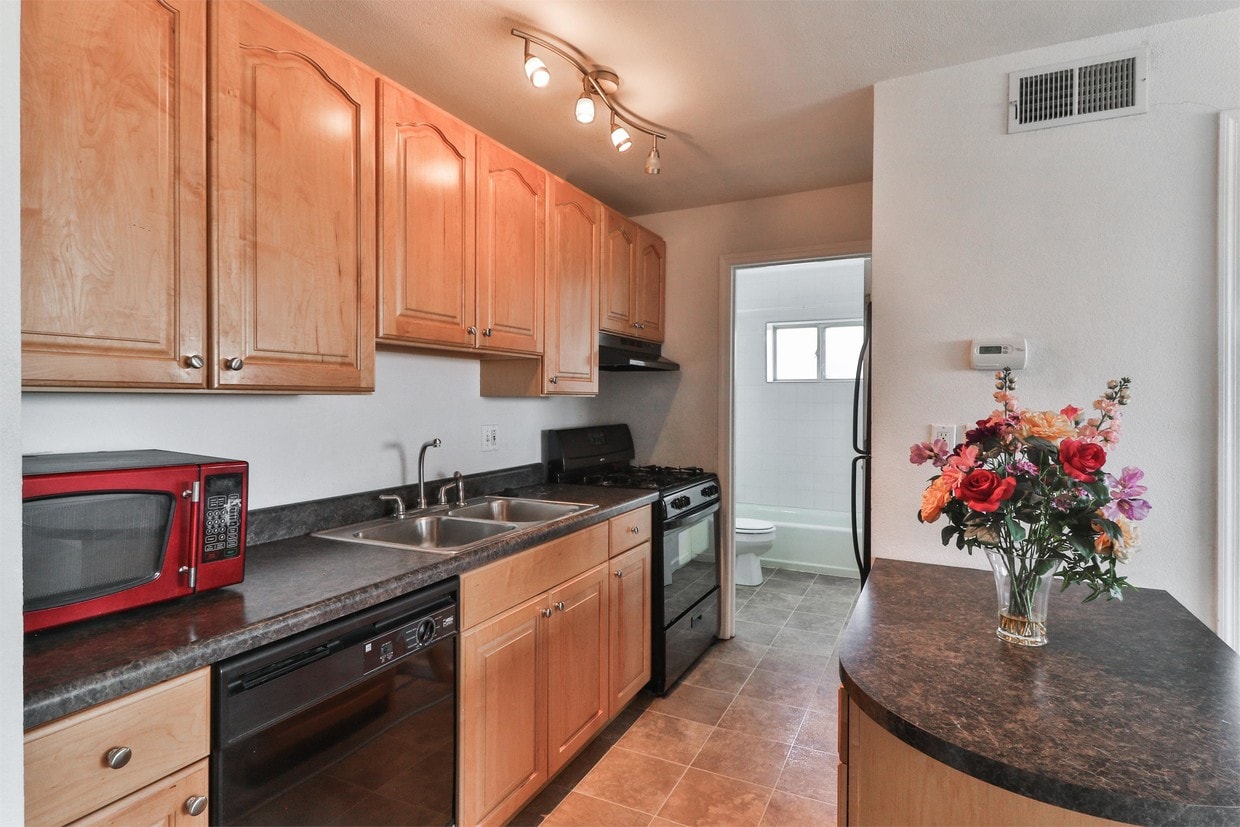 3844 Park Ave Unit 1, St. Louis, MO 63110 Apartment for Rent in St