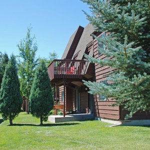 Building Photo - Harvest Granger Apartments