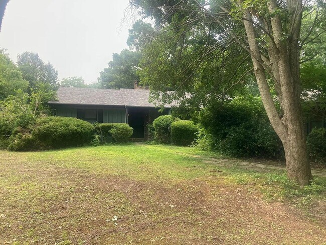 Foto del edificio - Beautiful Duplex Located in Serene, Wooded...