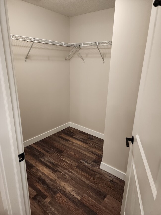 3Bed Primary Closet - Creek View At Devils Glen