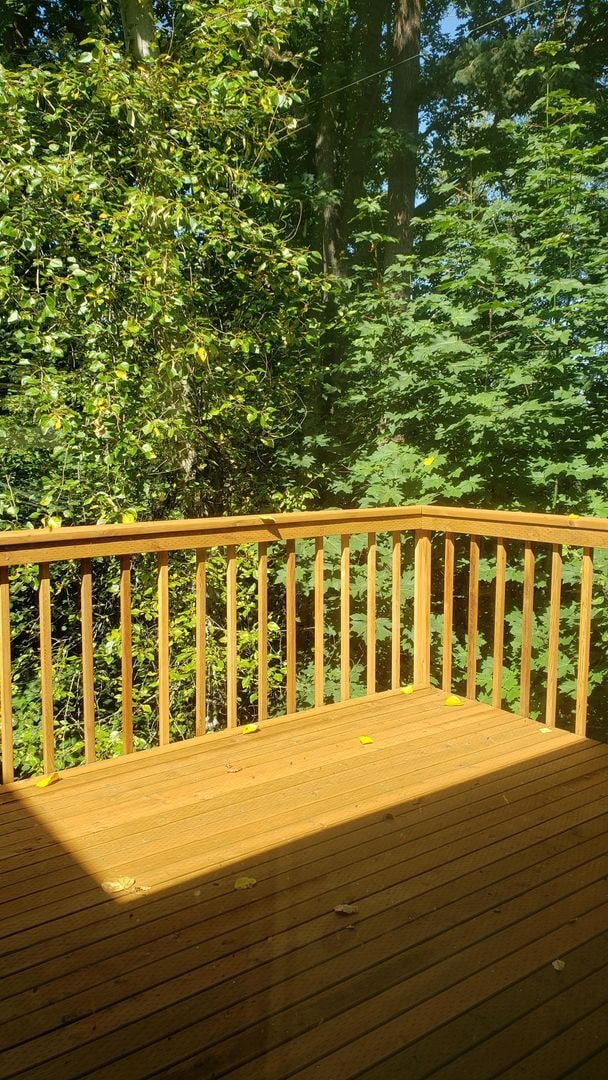 Foto del edificio - Pre-Leasing for August - 6Bed/3Bath House