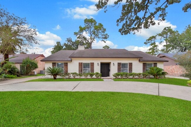 Building Photo - 10042 Briar Forest Dr