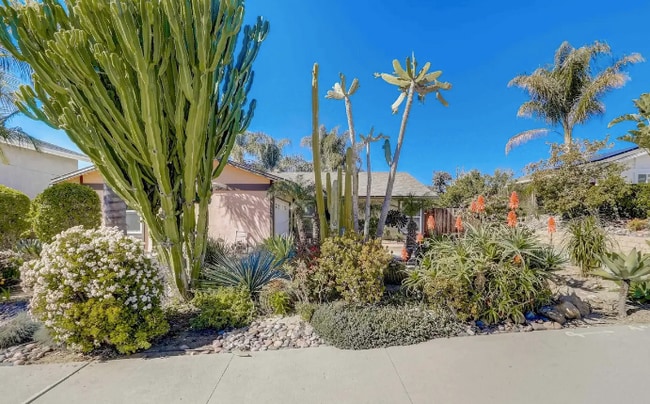 Mature landscaping - 10044 Carlton Hills Blvd