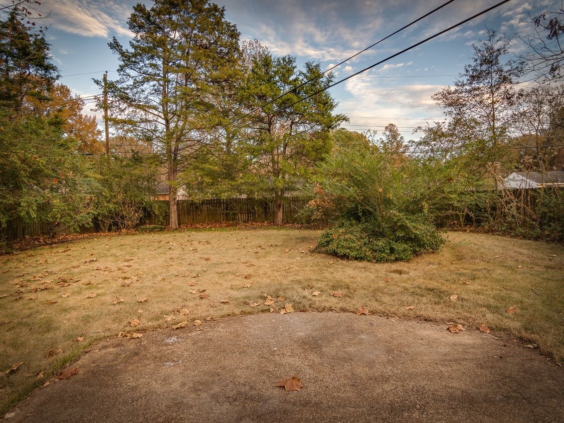 Primary Photo - Updated 3BR home in GREAT neighborhood!