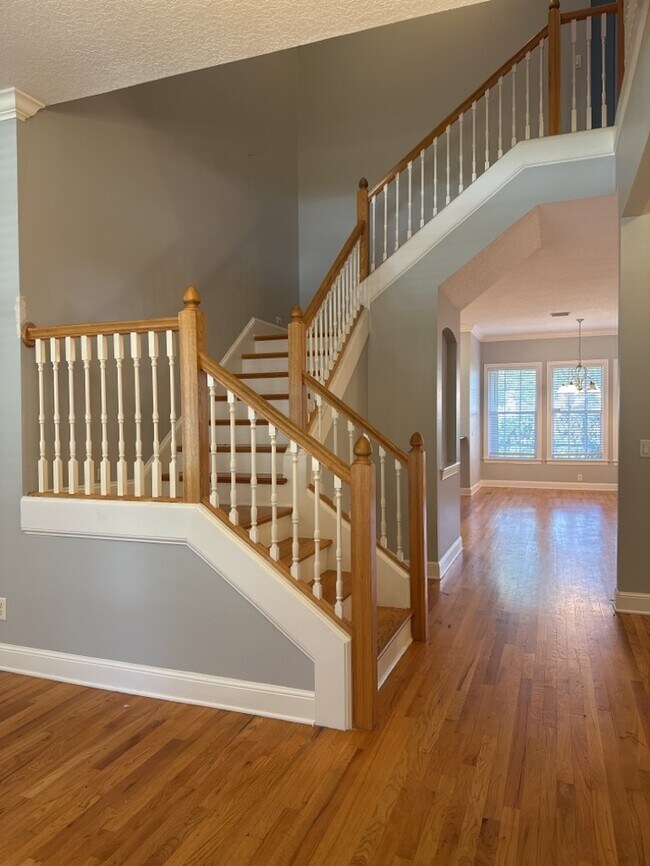 Foto del edificio - SOUTH TAMPA CUSTOM HOME