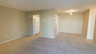 This single-floor space presents an open and functional layout designed for comfortable everyday living. The main living area is finished with wall-to-wall carpet in a neutral beige tone, creating a warm and cohesive feel underfoot. The walls are painted in a soft greige, contributing to a calm, understated aesthetic throughout.

A central partial wall divides the living space from the adjacent areas, while maintaining an open sightline that enhances the sense of spaciousness. To one side, a pass-through or open shelving unit connects the living area to what appears to be a kitchen or utility space, allowing for convenient access and visual continuity. The kitchen is visible through a doorway and features white appliances, including a full-size refrigerator, along with light-toned cabinetry.

A flush-mount ceiling light fixture provides overhead illumination in the living area, supplementing the ambient light in the space. White baseboards frame the perimeter of each room, offering a clean contrast against the neutral walls and carpet. The overall layout is practical and straightforward, offering clearly defined zones within an open, easily navigable floor plan.