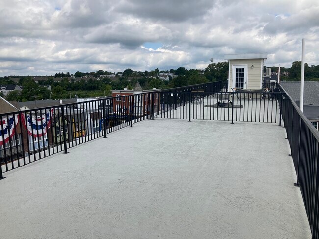 Private roof deck - 256 Bridge St