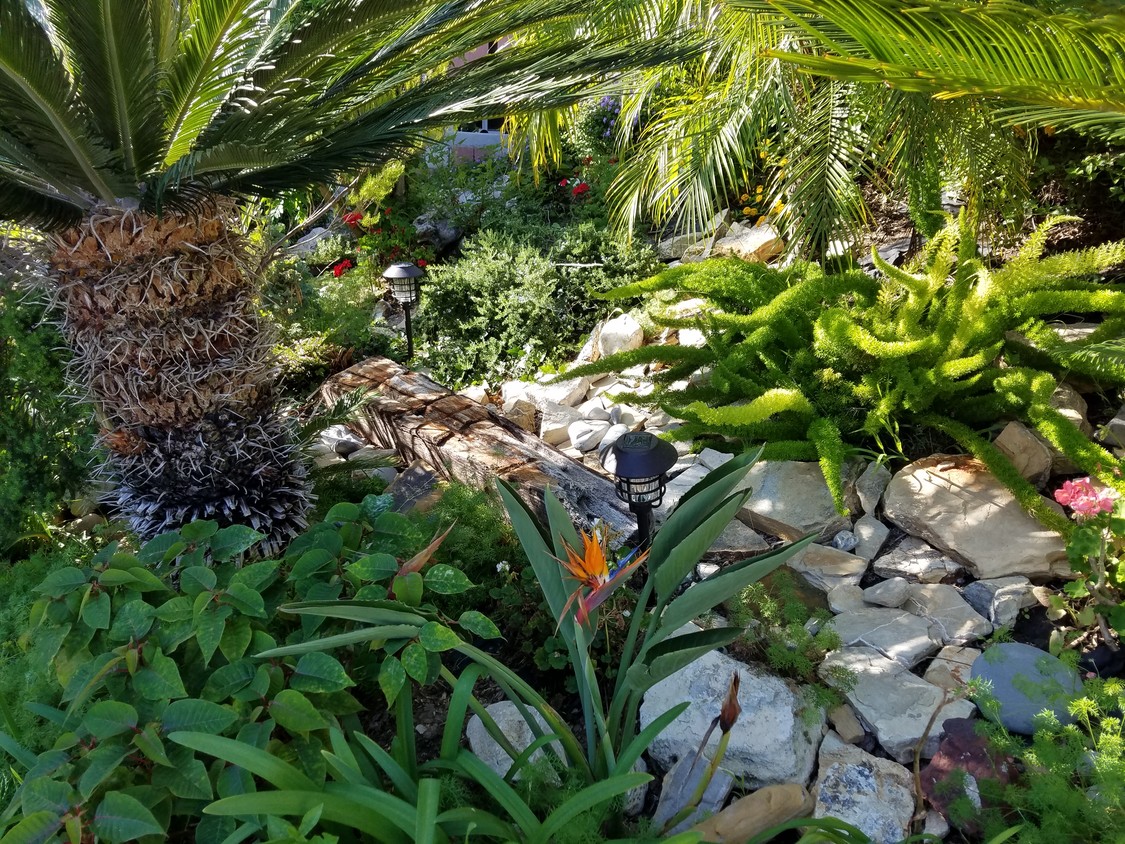 LUSH LANDSCAPING - 2161 W 25th St