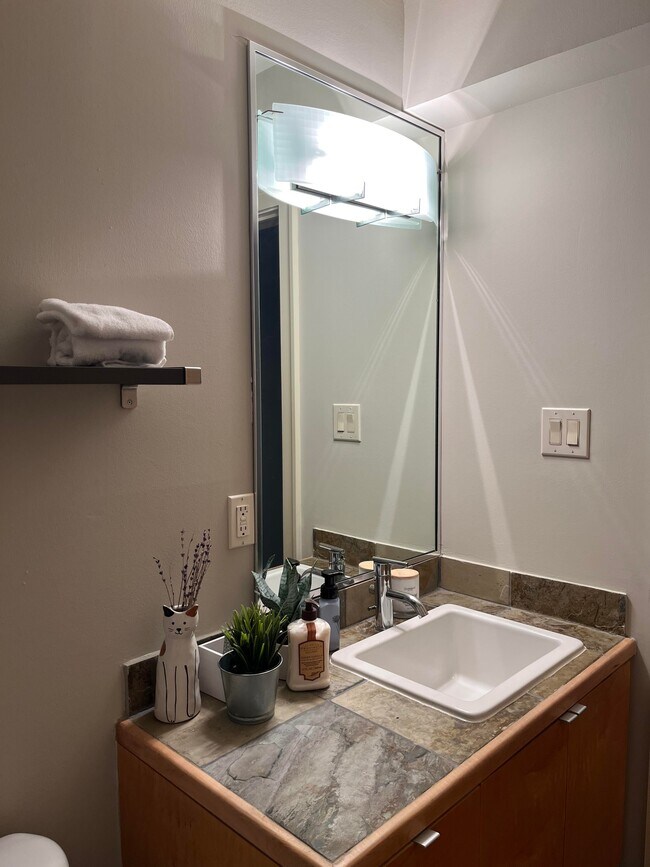 Mirror in the first bathroom - 318 McAlpine St