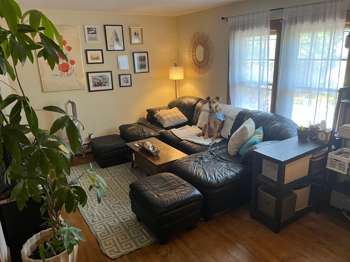 Foto principal - 365 Flynn Ave