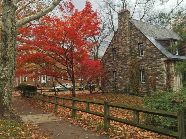 Foto del edificio - Locust Lane House!