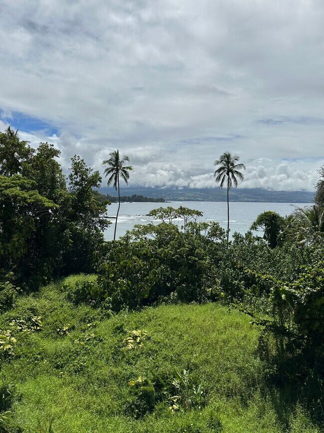 Foto del edificio - Spacious1BR/2BA In Prime Location
