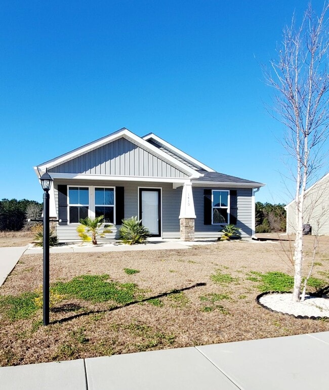 Building Photo - St. Johns Ridge - Long Term Rental in Conway, SC