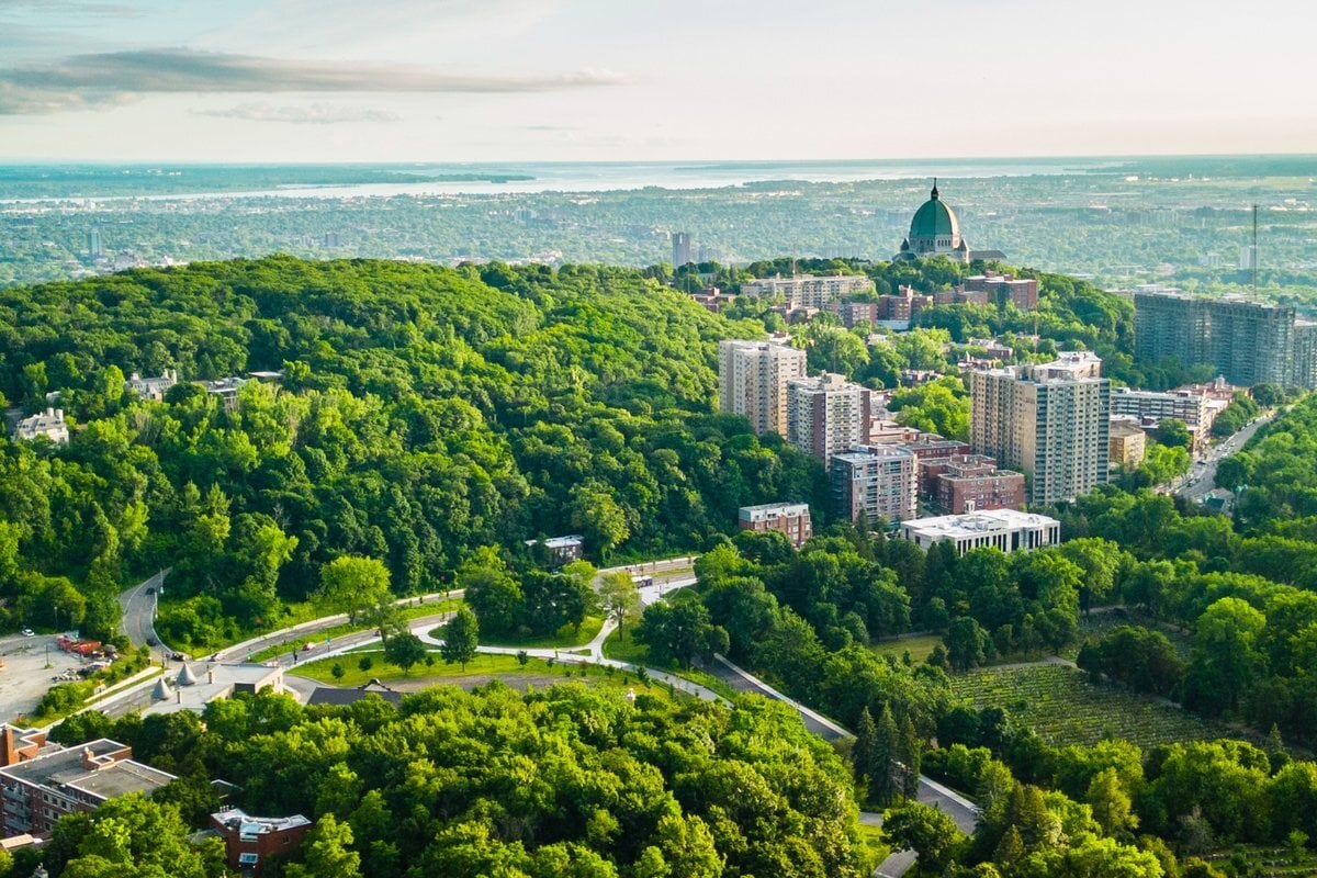 Une vue de Mt Royal, QC