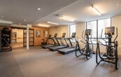 This fitness center is a comprehensive, single-floor facility designed to support a wide range of workout routines. The space is divided into distinct functional zones that flow seamlessly into one another, creating an open and energizing environment for exercise.

The cardio area features multiple treadmills and a stationary bike, positioned near large windows that invite natural light and provide views of the surrounding exterior. The bright, airy atmosphere in this section is enhanced by linear overhead lighting and neutral-toned walls accented by warm wood paneling near the entry.

Adjacent to the cardio zone, the strength and functional training area is equipped with elliptical machines, a cable and pulley system, TRX suspension trainers, and a stall bar wall ladder. A bold, colorful geometric mural adds a vibrant and energetic visual element to this section of the facility.

The free weights area includes a full dumbbell rack, adjustable weight benches, and a wall-length mirror that amplifies the sense of space and allows users to monitor their form. A wall-mounted television and a water station provide added convenience throughout the space.

Durable rubber flooring covers the entire facility, ensuring safety and comfort during workouts. The thoughtful layout, modern equipment, and well-designed lighting come together to create an inviting and fully functional fitness environment.