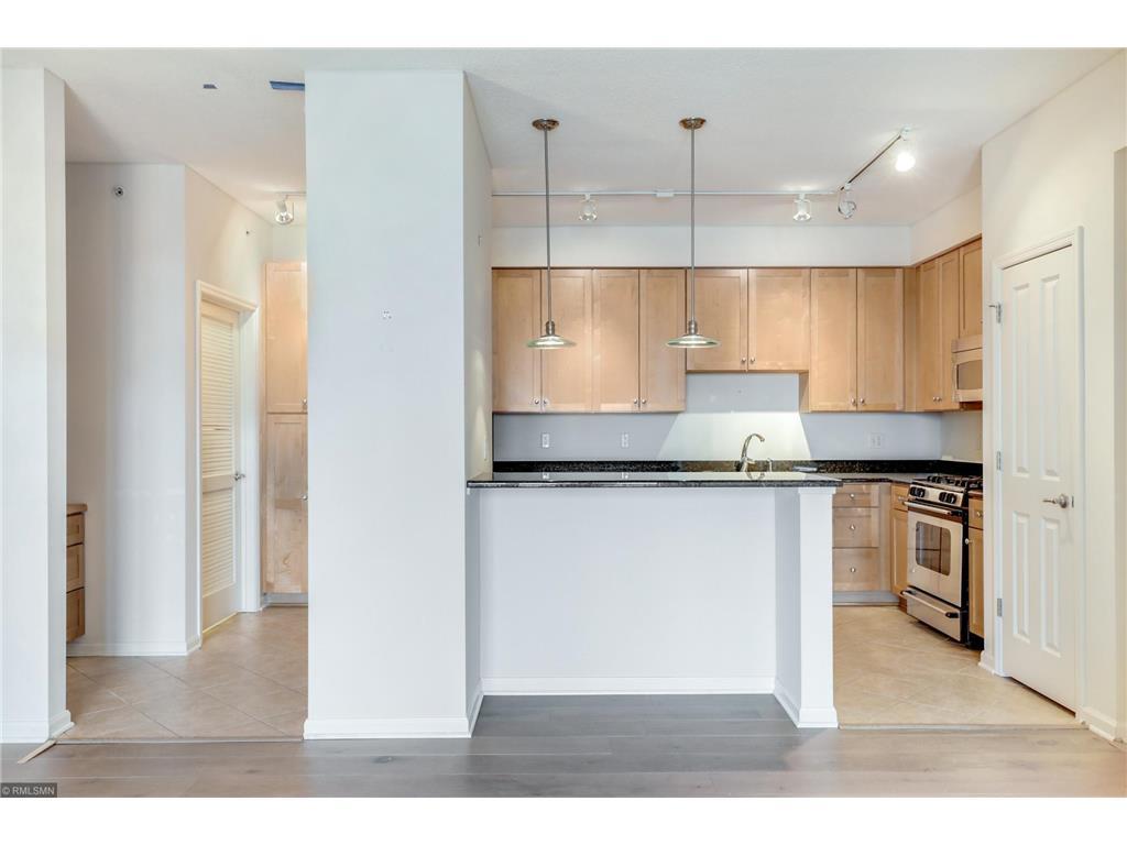 500 E Grant St Unit 2207, Minneapolis, MN 55404 Condo for Rent in